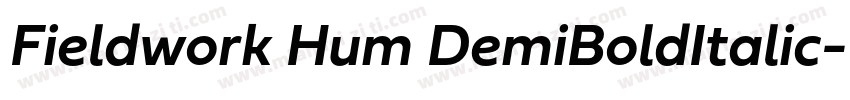 Fieldwork Hum DemiBoldItalic字体转换